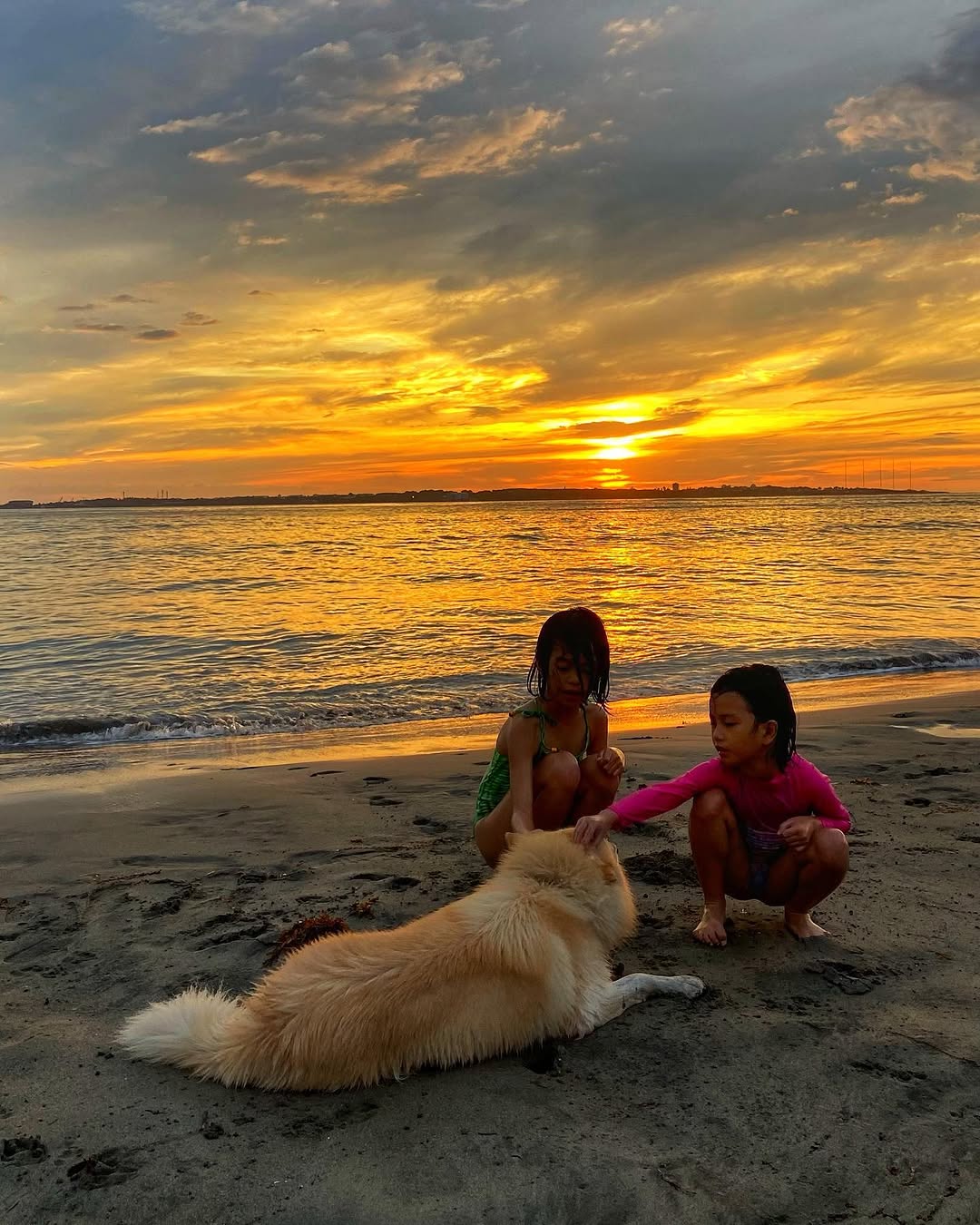 Backyard for dogs and kids at Location One Eighty