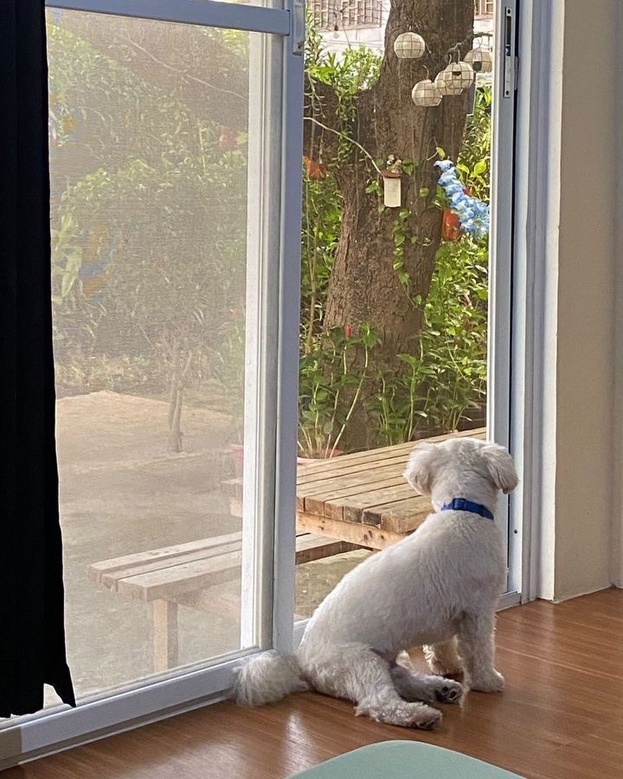 Pet-friendly location at Location One Eighty