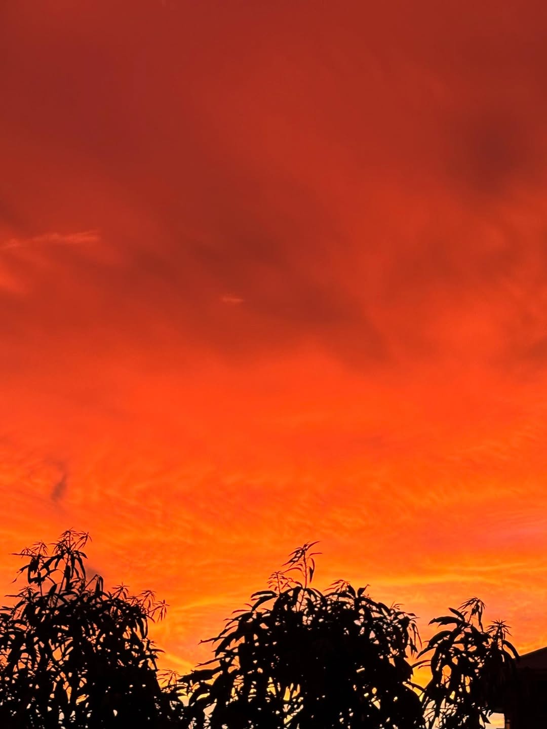 La Union coastal sunset